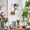 Gastor Boule lumineuse, Applique murale Ambre, Clair, Fumé, 3 lumières