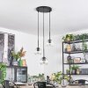 Ripoll Suspension, Boule lumineuse, Suspension grappe Clair, 3 lumières