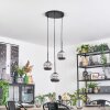 Ripoll Suspension, Boule lumineuse, Suspension grappe Chrome, Fumé, 3 lumières