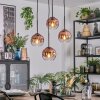 Ripoll Suspension, Boule lumineuse, Suspension grappe Clair, Cuivré, 4 lumières