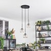 Ripoll Suspension, Boule lumineuse, Suspension grappe Ambre, Clair, 3 lumières