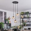 Ripoll Suspension, Boule lumineuse, Suspension grappe Ambre, Clair, 3 lumières