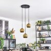 Ripoll Suspension, Boule lumineuse, Suspension grappe Or, 3 lumières
