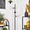 Ripoll Lampadaire Clair, 3 lumières