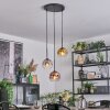 Ripoll Suspension, Boule lumineuse, Suspension grappe Chrome, Or, Clair, Cuivré, Fumé, 3 lumières