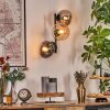Gastor Boule lumineuse, Applique murale Ambre, Clair, Fumé, 3 lumières