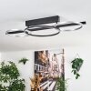 Jenar Plafonnier LED Noir, 1 lumière