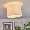 Bassagoda Plafonnier Blanc, 1 lumière