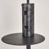 Lampadaire Terwispel Anthracite, Gris, Noir, 1 lumière