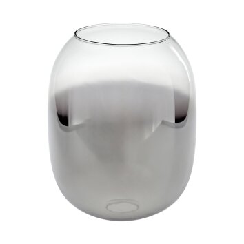Abat-jour en verre  Apedo Verre de rechange Clair, Fumé