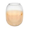 Abat-jour en verre  Apedo Verre de rechange Ambre, Clair