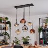 Gastor Suspension, Boule lumineuse, Suspension Ambre, Chrome, Clair, Cuivré, Fumé, 6 lumières