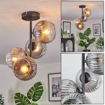 Ripoll Plafonnier, Boule lumineuse Clair, Fumé, 4 lumières