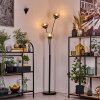 Koyoto Boule lumineuse, Lampadaire Clair, Fumé, 3 lumières