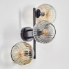 Ripoll Boule lumineuse, Applique murale Ambre, Clair, Fumé, 3 lumières