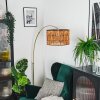 Cando Lampadaire Laiton, Noir, 1 lumière