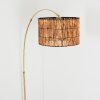 Cando Lampadaire Laiton, Noir, 1 lumière
