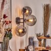 Gastor Boule lumineuse, Applique murale Fumé, 3 lumières