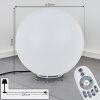 Ilorn Boule lumineuse, Borne lumineuse, Eclairage de chemin LED Blanc, 1 lumière, Télécommandes