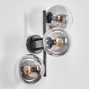 Gastor Boule lumineuse, Applique murale Clair, Fumé, 3 lumières