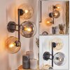 Gastor Boule lumineuse, Applique murale Ambre, Clair, Fumé, 3 lumières