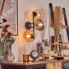Gastor Boule lumineuse, Applique murale Ambre, Clair, Fumé, 3 lumières