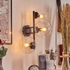 Gastor Boule lumineuse, Applique murale Clair, 3 lumières