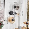 Gastor Boule lumineuse, Applique murale Ambre, Clair, Fumé, 3 lumières