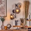 Gastor Boule lumineuse, Applique murale Chrome, Clair, Fumé, 3 lumières