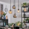 Ripoll Suspension, Boule lumineuse, Suspension grappe Ambre, Clair, Fumé, 4 lumières