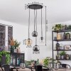 Ripoll Suspension, Boule lumineuse, Suspension grappe Ambre, Clair, Fumé, 4 lumières