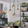 Ripoll Suspension, Boule lumineuse, Suspension grappe Ambre, Clair, Fumé, 4 lumières