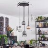 Ripoll Suspension, Boule lumineuse, Suspension grappe Ambre, Clair, Fumé, 4 lumières