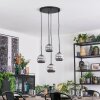 Ripoll Suspension, Boule lumineuse, Suspension grappe Chrome, Fumé, 4 lumières