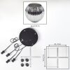 Ripoll Suspension, Boule lumineuse, Suspension grappe Chrome, Fumé, 4 lumières