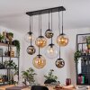 Gastor Suspension, Boule lumineuse, Suspension Ambre, Chrome, Clair, Fumé, 8 lumières