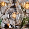 Gastor Suspension, Boule lumineuse, Suspension Ambre, Chrome, Clair, Fumé, 8 lumières