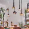 Ripoll Suspension, Boule lumineuse, Suspension Ambre, Clair, Fumé, 6 lumières