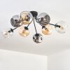 Ripoll Plafonnier, Boule lumineuse Ambre, Clair, Fumé, 8 lumières