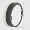 Applique murale d'extérieur Ruosina LED Anthracite, 1 lumière