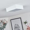 Plafonnier Netstal LED Blanc, 1 lumière