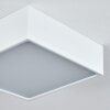 Plafonnier Netstal LED Blanc, 1 lumière