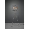 Lampadaire Trio Ivar Brun foncé, Nickel mat, 1 lumière