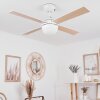 Ventilateur de plafond Hausvik Brun, Blanc, 1 lumière, Télécommandes