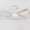 Ventilateur de plafond Hausvik Brun, Blanc, 1 lumière, Télécommandes