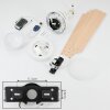 Ventilateur de plafond Hausvik Brun, Blanc, 1 lumière, Télécommandes