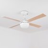 Ventilateur de plafond Hausvik Brun, Blanc, 1 lumière, Télécommandes