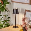 Salgadinho Lampe de table d'extérieur, Luminaire de salle de bain, Lampe à poser LED Noir, 1 lumière