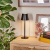 Salgadinho Lampe de table d'extérieur, Luminaire de salle de bain, Lampe à poser LED Noir, 1 lumière