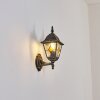 Naofe Lampe murale d´extérieur, Applique murale Brun, Or, 1 lumière